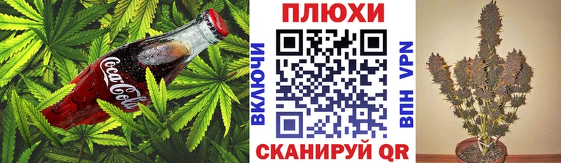 закладка Владимир Canna-Cookies марихуана