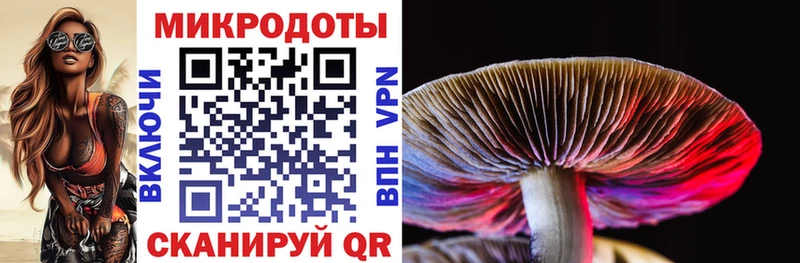 Псилоцибиновые грибы Psilocybe  цена наркотик  Владимир 