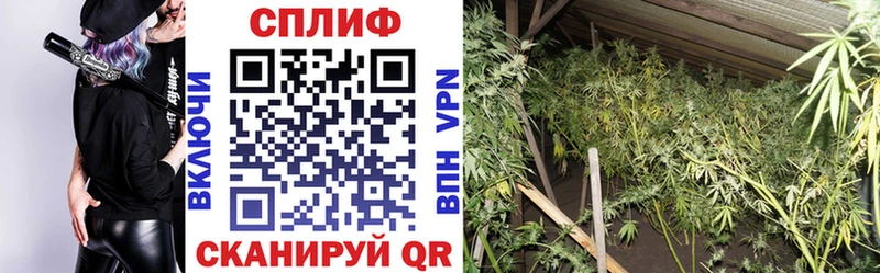 Конопля VHQ купить наркоту Владимир